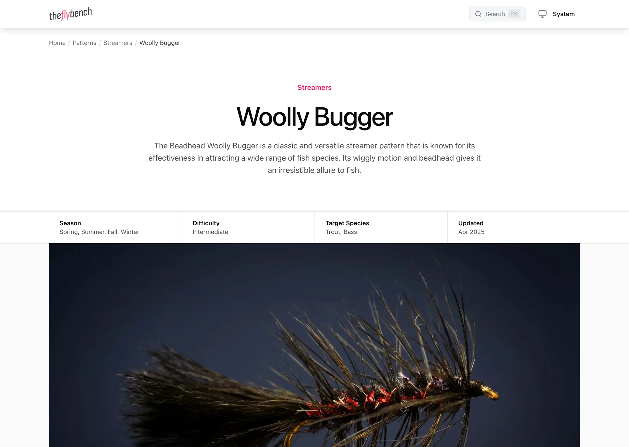 A pattern page: the Woolly Bugger